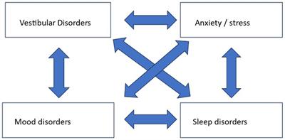 The relationship between dizziness and sleep: a review of the literature